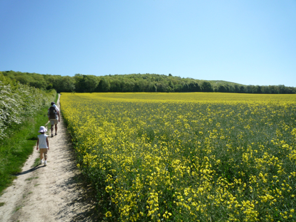 23 May walk 4.jpg